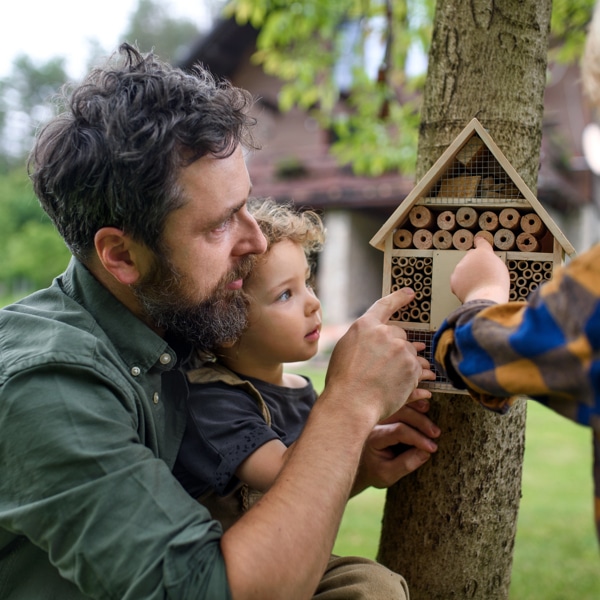 een insecten hotel